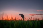 “The Bear Road”, il viaggio musicale tra mito, natura e rinascita di Michele Villetti